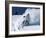 Alpine Meadows, California, USA-null-Framed Photographic Print