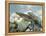 Alpine Newts, Side View, Two, Male-Harald Kroiss-Framed Premier Image Canvas