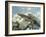 Alpine Newts, Side View, Two, Male-Harald Kroiss-Framed Photographic Print