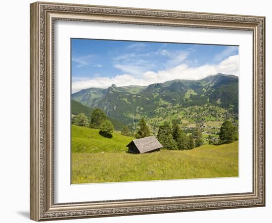 Alpine Pasture Enar Grindelwald Valley Below Eiger, Jungfrau Region, Switzerland-Michael DeFreitas-Framed Photographic Print