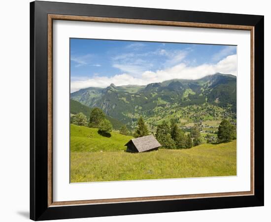 Alpine Pasture Enar Grindelwald Valley Below Eiger, Jungfrau Region, Switzerland-Michael DeFreitas-Framed Photographic Print