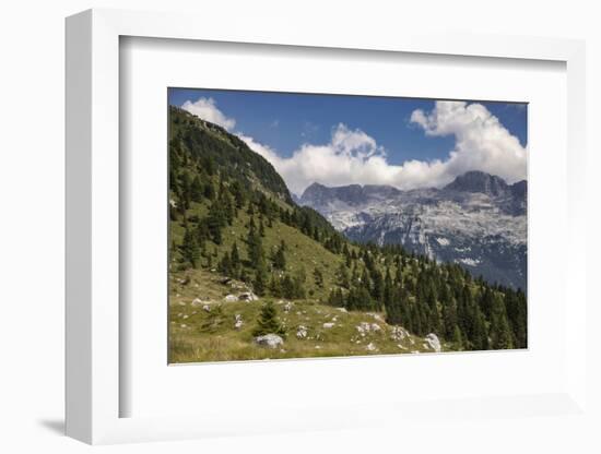 alpine pastures on the Jôf di Montasio, Italy-Simone Wunderlich-Framed Photographic Print
