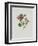 Alpine Rose-Moritz Michael Daffinger-Framed Art Print