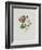 Alpine Rose-Moritz Michael Daffinger-Framed Art Print