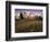 Alpine Summer Wildflowers, Mt. Rainer National Park-Stuart Westmorland-Framed Photographic Print