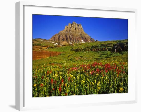 Alpine Wildflowers at Logan Pass, Glacier National Park, Montana, USA-Chuck Haney-Framed Photographic Print