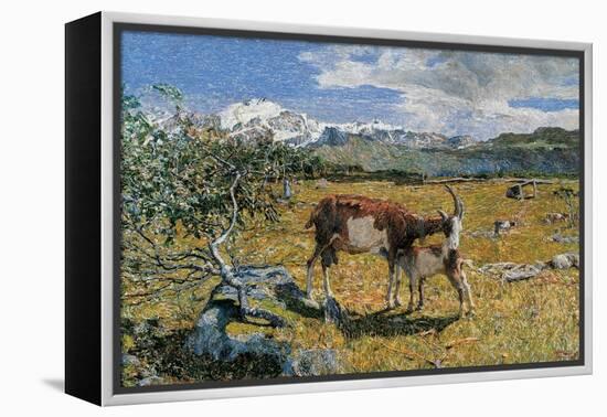 Alps in May (The Loving Mother)-Giovanni Segantini-Framed Stretched Canvas