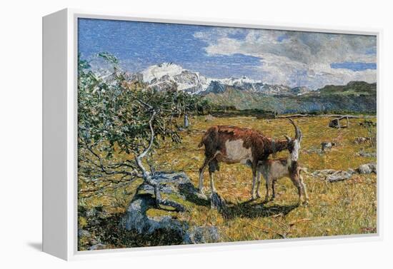 Alps in May (The Loving Mother)-Giovanni Segantini-Framed Stretched Canvas