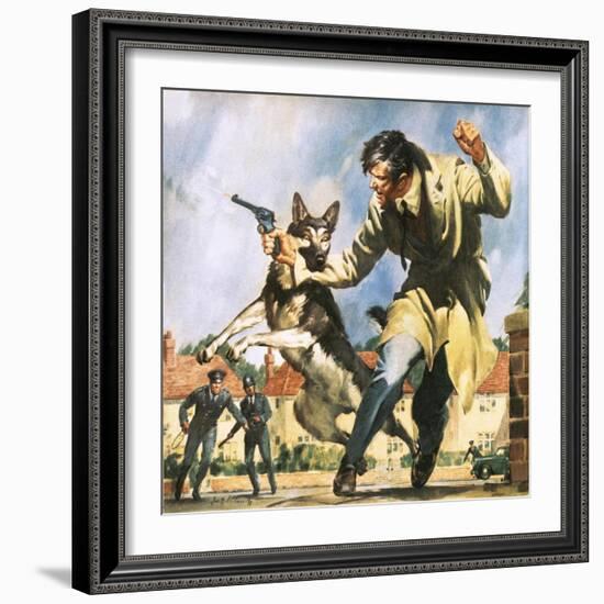 Alsatian Police Dog-McConnell-Framed Giclee Print