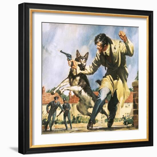 Alsatian Police Dog-McConnell-Framed Giclee Print