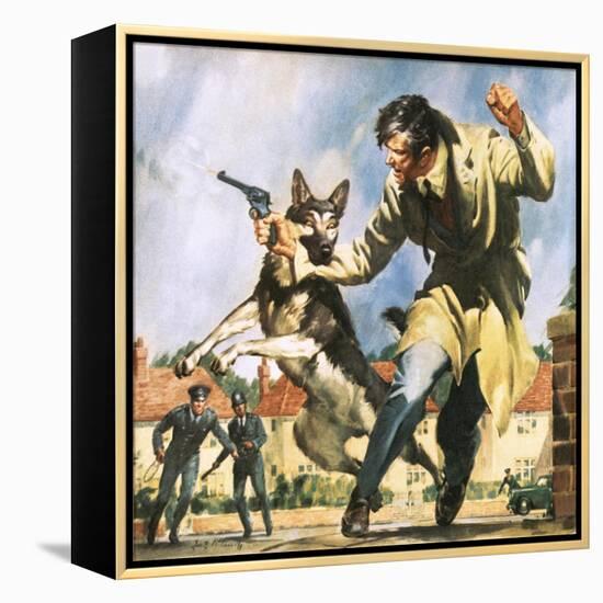 Alsatian Police Dog-McConnell-Framed Premier Image Canvas