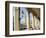 Alsterarkaden and Town Hall, Hamburg, Germany, Europe-Hans Peter Merten-Framed Photographic Print