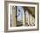 Alsterarkaden and Town Hall, Hamburg, Germany, Europe-Hans Peter Merten-Framed Photographic Print