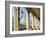 Alsterarkaden and Town Hall, Hamburg, Germany, Europe-Hans Peter Merten-Framed Photographic Print