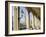 Alsterarkaden and Town Hall, Hamburg, Germany, Europe-Hans Peter Merten-Framed Photographic Print