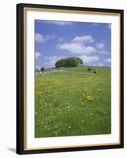 Alstonfield, Peak District National Park, Derbyshire, England, United Kingdom-Roy Rainford-Framed Photographic Print
