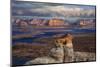 Alstrom Point Page, Arizona, USA, Lake Powell-John Ford-Mounted Photographic Print