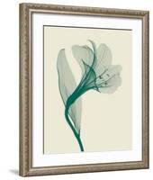 Alstromeria I-Steven N^ Meyers-Framed Art Print