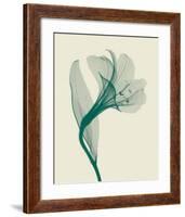 Alstromeria I-Steven N^ Meyers-Framed Art Print