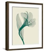 Alstromeria I-Steven N^ Meyers-Framed Art Print