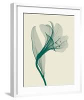 Alstromeria I-Steven N^ Meyers-Framed Art Print
