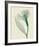 Alstromeria II-Steven N^ Meyers-Framed Art Print