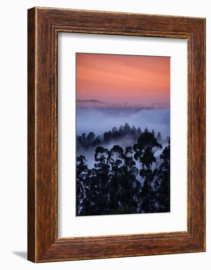 Alt Views Epic Fog Bau Area Hills San Francisco Skyline Morning Light-Vincent James-Framed Photographic Print