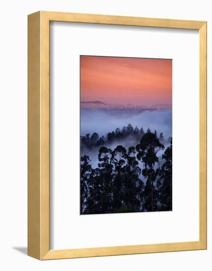 Alt Views Epic Fog Bau Area Hills San Francisco Skyline Morning Light-Vincent James-Framed Photographic Print