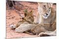 Premium Photographic Print