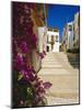 Altafulla, Tarragona, Catalonia, Spain, Europe-Ruth Tomlinson-Mounted Photographic Print