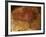 Altamira Cave Painting of a Bison-Javier Trueba-Framed Photographic Print