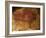 Altamira Cave Painting of a Bison-Javier Trueba-Framed Photographic Print