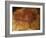 Altamira Cave Painting of a Bison-Javier Trueba-Framed Photographic Print