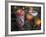 Altar Offering Decorated with Flowers, Fruit and a Candle for Day of the Dead, Oaxaca, Mexico-Judith Haden-Framed Photographic Print