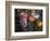 Altar Offering Decorated with Flowers, Fruit and a Candle for Day of the Dead, Oaxaca, Mexico-Judith Haden-Framed Photographic Print
