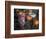 Altar Offering Decorated with Flowers, Fruit and a Candle for Day of the Dead, Oaxaca, Mexico-Judith Haden-Framed Photographic Print