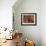 Altar with Candles, Flowers, and Spiritual Imagery for the Day of the Dead Celebration, Mexico-Judith Haden-Framed Photographic Print displayed on a wall