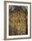 Altarpiece Dedicated to St. Francis Xavier, 1753-Miguel Cabrera-Framed Giclee Print