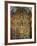 Altarpiece Dedicated to St. Francis Xavier, 1753-Miguel Cabrera-Framed Giclee Print