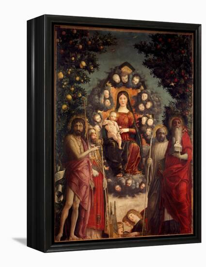 Altarpiece Trivulzio: the Holy Conversation. the Virgin and Christ, Surrounded by St.John the Bapti-Andrea Mantegna-Framed Premier Image Canvas