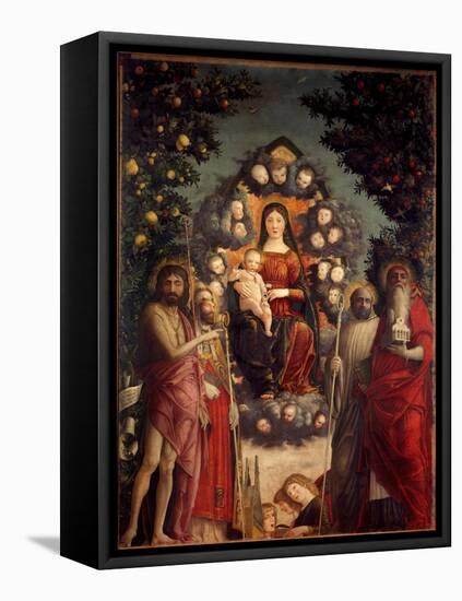 Altarpiece Trivulzio: the Holy Conversation. the Virgin and Christ, Surrounded by St.John the Bapti-Andrea Mantegna-Framed Premier Image Canvas