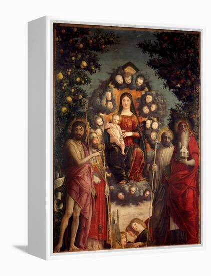 Altarpiece Trivulzio: the Holy Conversation. the Virgin and Christ, Surrounded by St.John the Bapti-Andrea Mantegna-Framed Premier Image Canvas