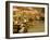 Altermarkt Christmas Market at Night, Altermarkt Square, Salzburg, Austria, Europe-Richard Nebesky-Framed Photographic Print