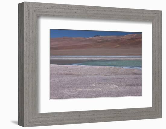 Altiplano, Chile, in the Atacama Desert Is This Green Lagoon-Mallorie Ostrowitz-Framed Photographic Print