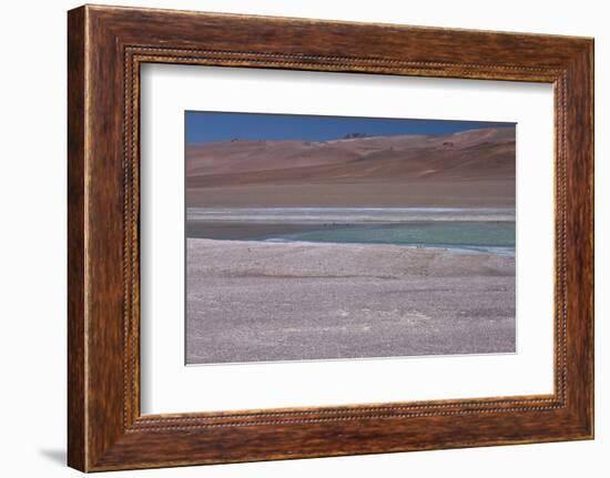 Altiplano, Chile, in the Atacama Desert Is This Green Lagoon-Mallorie Ostrowitz-Framed Photographic Print