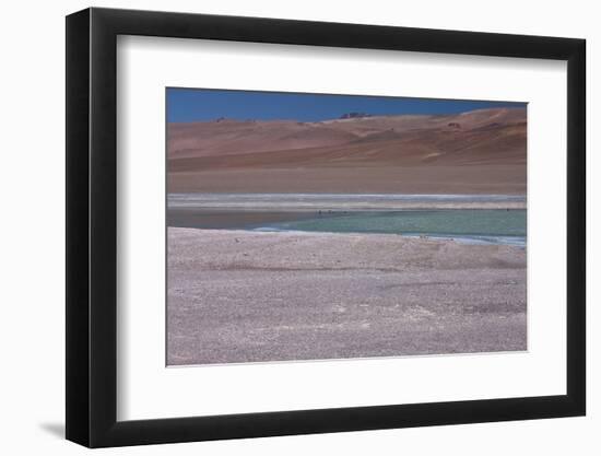 Altiplano, Chile, in the Atacama Desert Is This Green Lagoon-Mallorie Ostrowitz-Framed Photographic Print