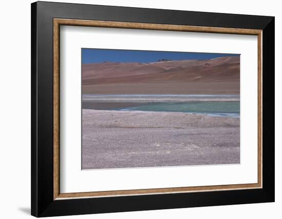 Altiplano, Chile, in the Atacama Desert Is This Green Lagoon-Mallorie Ostrowitz-Framed Photographic Print