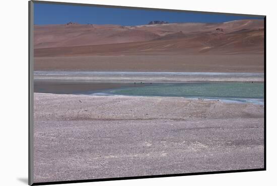 Altiplano, Chile, in the Atacama Desert Is This Green Lagoon-Mallorie Ostrowitz-Mounted Photographic Print