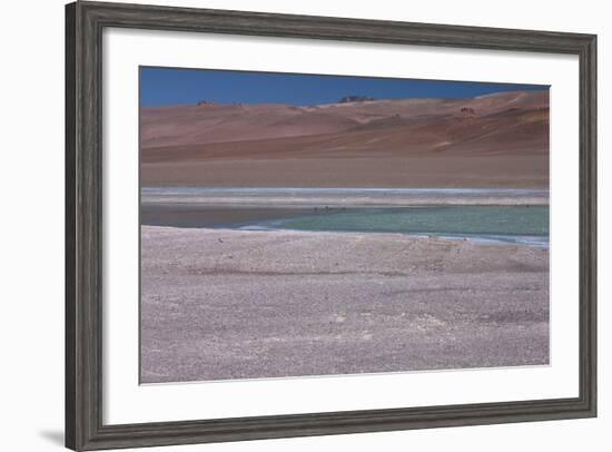 Altiplano, Chile, in the Atacama Desert Is This Green Lagoon-Mallorie Ostrowitz-Framed Photographic Print