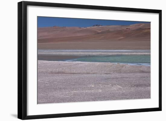 Altiplano, Chile, in the Atacama Desert Is This Green Lagoon-Mallorie Ostrowitz-Framed Photographic Print